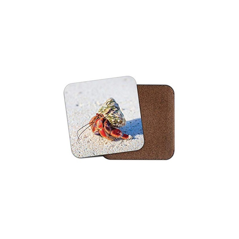 1 x Hermit Crab Shell Sandy Beach Coaster - Crustacean