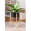 D'vine Dev Ceramic Planter with Natural Stand - 8 Inch
