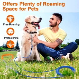 LANNEY Dog Tie Out Cable and Stake, 30ft Leash Chain Lead with Swivel Hook and Shock Spring for Yard Outside Camping, 16 inch Heavy Duty Spiral Ground Stake for Medium Large Dogs Up to 125 Lbs