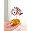 JOVIVI Crystals Tree Chakra Tree of life Spiritual Crystal Gifts