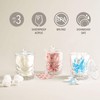 Godinger Storage Jars with Lids Set, Canister Set, Apothecary Jars,