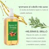 Shampoo Batana Oil Y Romero 300ml | Crecimiento Y Anticaída