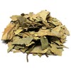 Mango Leaves Tea Herbal Infusion Hojas De Mango (35g) Zip-lock