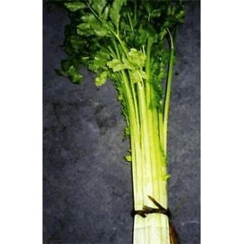 Hazzard's Seeds Celery Chinese White Stem    250 seeds