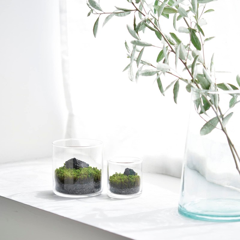 Seishin Pottery Glastmoss M