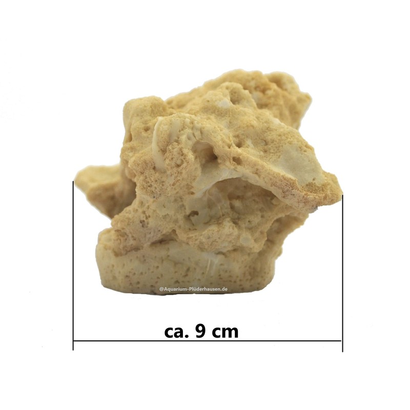 Rock/Stone, 16 x 9 x 9 cm, Sea Water Reef