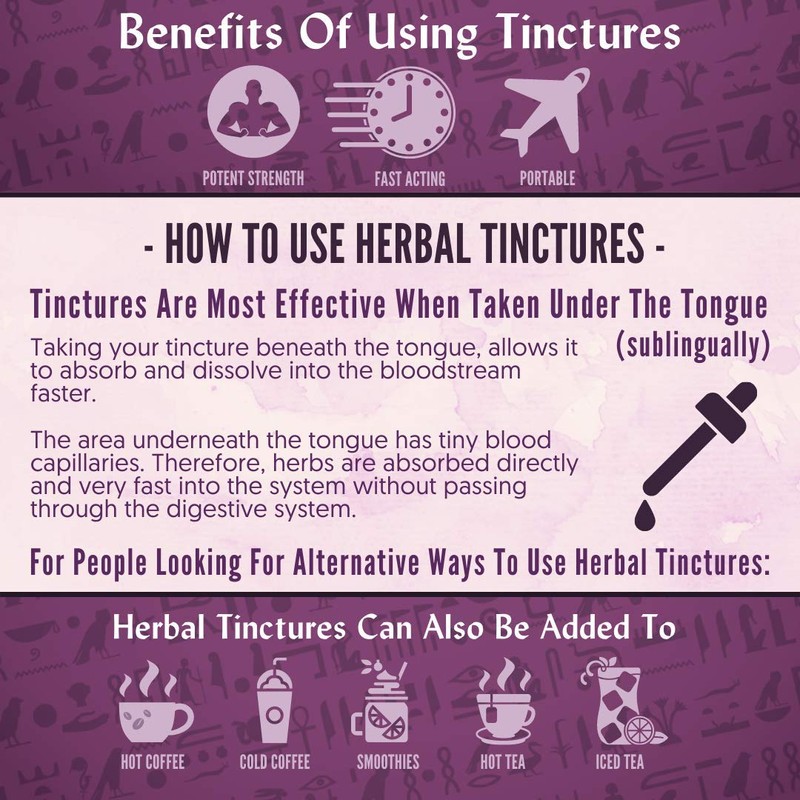 Sun God Medicinals Ra Herbals Organic White Willow Bark Liquid