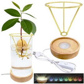Avocado Vase, Avocado Seed Starter Vase with Wood Multicolor LED Light Base, Avocado Growing Kit with Plant Support, Acorn vase, propagation stations for Forcing Hyacinth and Tulip Bulbs(Golden)