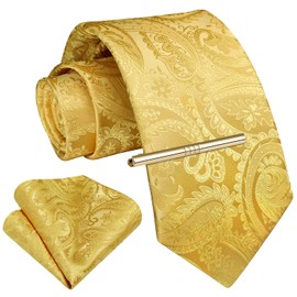 Enlision Men's Ties and Pocket Square Tie Clip Set Paisley Checked Tie Handkerchief Tie Pin for Men Business Wedding Tie Sets, B1-Yellow
