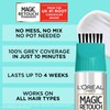 L'Oreal Paris Magic Retouch Permanent Root Concealer, Touching Up Grey