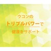 【リプサ公式】 トリプルウコン粒 約3か月分×2袋 T-608-2 国内製造