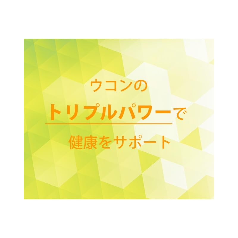 【リプサ公式】 トリプルウコン粒 約3か月分×2袋 T-608-2 国内製造