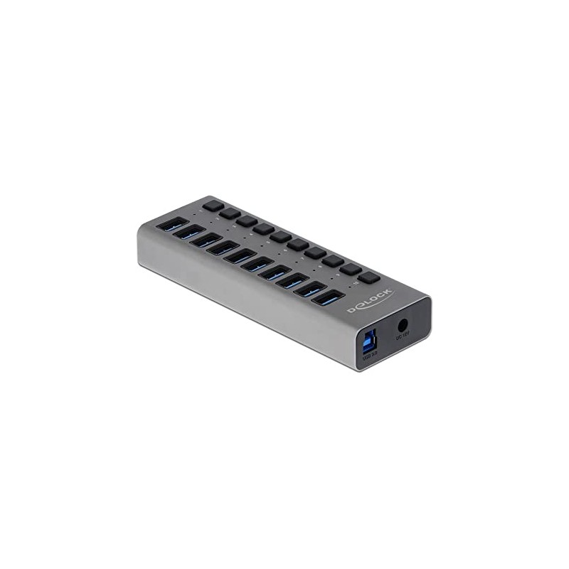 Delock 63670 External SuperSpeed USB Hub with 10 Ports +