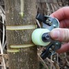 DOITOOL Ring Stripping Knife for Tree Bark Removal Garden Grafting
