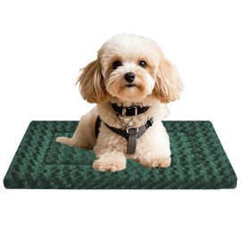 Dog Bed Mat - Cute Dog Mat Bed for Kennels and Cages, Washable, Durable, with a Cute Design (Green, 24" L x 18" W x 1.2" Th)