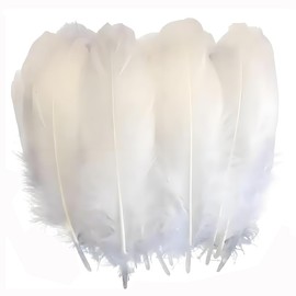 YJRUNFU Feathers, Feather Shower, Feather Shower, Plenty of Goose Feathers, Decorative Feathers, DIY Decoration Accessories, Weddings, Birthdays, Weddings, Events, Parties, Craft Materials, Hat, Bag