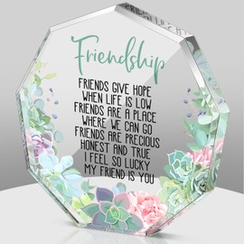 Spiareal Gift for Friend Friendship Gifts for Women Friend Friendship Birthday Gifts Cheer up Gift Acrylic Heart Butterfly Keepsake Paperweight for Home Office Table Shelf(Succulent)