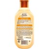Garnier Botanic Therapy Honey & Propolis Hair Shampoo Very Destroyed