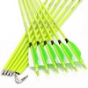 annastar 30" Carbon Feather Arrows Practice Hunting Arrows Spine 300