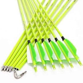 annastar 30" Carbon Feather Arrows Practice Hunting Arrows Spine 300 340 400 500 600 700 800 for Recurve Bow & Compound Bow (12 pcs) (30inch Spine 300, Neon Green)