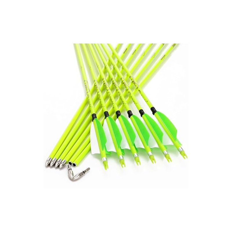 annastar 30" Carbon Feather Arrows Practice Hunting Arrows Spine 300