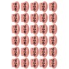 30Pcs Metal Cord Locks Double Hole Zinc Alloy Durable Light