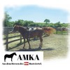 Amesbichler Reitsport AMKA Kinnkette mit Lederschlaufen für WesternTrense Westernreiten 073/32A