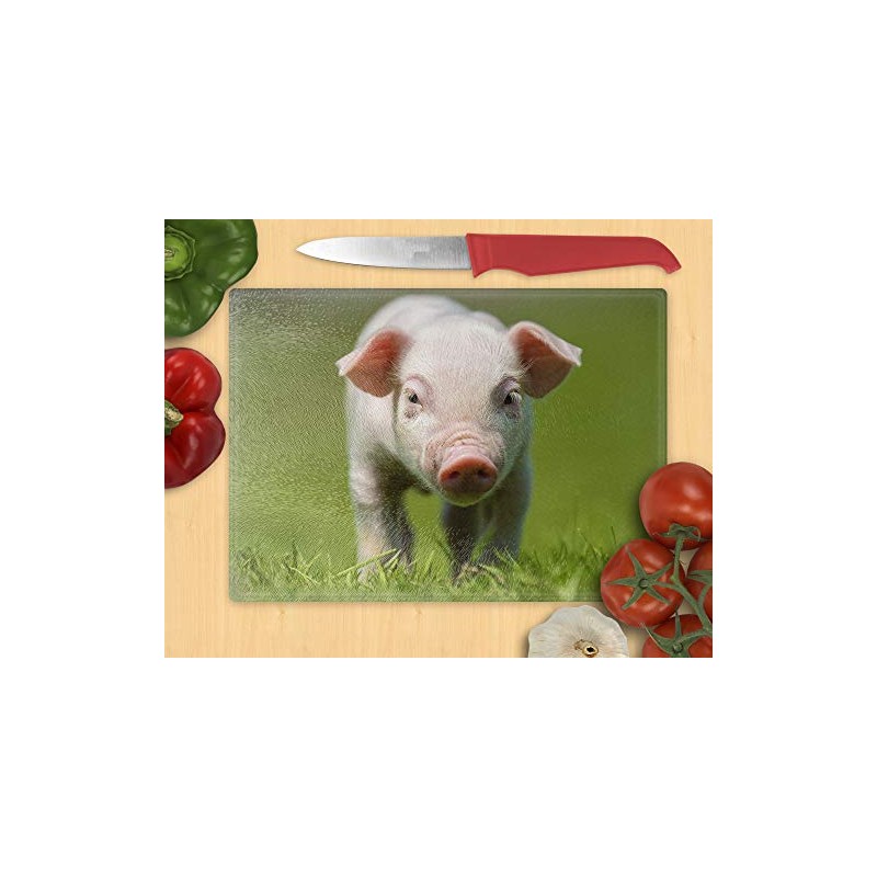 Chopping Board / Glass Chopping Board 20 x 28 x