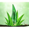 Mr. Gadget's Solutions 99% Pure Organic Cooling & Moisturising Aloe