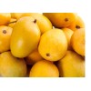 Tree Alphonso MANGO TREE GRAFTED (2-4 Feet Tall). Ship To