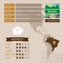 Brazil Coffee, Single Serve Coffee Pods, Premium Brazilian Santos Natural Single Origin Fresh Roasted Coffee | K-Cup Compatible Brewers | Cubico Coffee | 10 Count