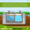 Natural Elements Septic Tank Treatment Pods | 1-Year Supply, Pack