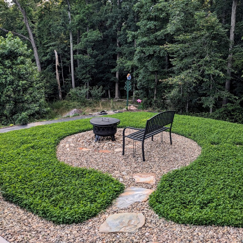 Outsidepride Perennial White MiniClover Seed - 1 lb. Dwarf, Small-Leaved,