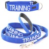 Dexil TRAINING Blue Colour Coded Dog Collar Luxury Padded Handle