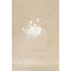 BABEYOND Fascinator Hat Veil Feather Fascinators Hair Clip Tea Party Pillbox Hat Knot Fascinator Bridal Wedding Veil