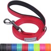 VIVAGLORY Dog Lead with Comfortable Neoprene Padded Handle, Heavy Duty