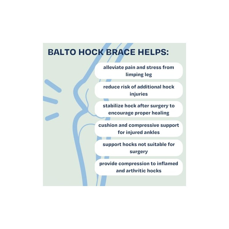 Balto Hock Brace – Dog Brace with Aluminum Splints –