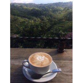 Cafe Lareño - Ground Puerto Rican Coffee - VALUE PACK - 8 oz Bag (Count of 4)