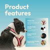 Gooby Comfort X Harness Dual Snap Mesh in Dog Harness