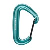 Black Diamond Mini Wire Carabiner Mint