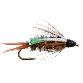 The Fly Fishing Place Weighted Nymph Fly Fishing Flies - Flashback Prince Trout Fly - 6 Flies Hook Size 10