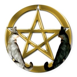 Fashion Jewelry OCCULT WOLF WOLVES PENTAGRAM pendant Sterling 925 plate Silver 20" necklace STAR