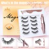 Magnetic Eyelashes with Eyeliner Natural Look Magnetic Lashes with Applicator