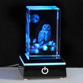 Qianwei Owl Gifts for Women Girls Home Decorations, 3D Crystal Owl Figurines Stuff Gifts for Owl Lovers Mom Kids Men Her Statue Paperweight Birthday for Best Friend Kids, Keepsake&Paperweight