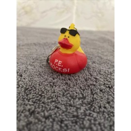 New AMERICAN Heart ASSOCIATION PE DUCK Key chain ring P.E. ROCKS Keychain