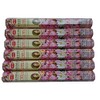 HEM(Hem)/Incense Stick/Precious Slotas/Case (Box of 20 x 6 Boxes)