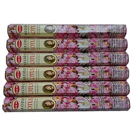 HEM(Hem)/Incense Stick/Precious Slotas/Case (Box of 20 x 6 Boxes)