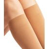 FALKE Women's Seidenglatt 40 DEN W Kh Semi-Opaque Plain 1