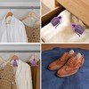 Lavande Sur Terre Pack of 36 Cedar Chips and Lavender