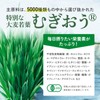 アサヒ緑健公式 緑効青汁 90袋 （3.5ｇ×90袋入り） 大麦若葉 乳酸菌 オリゴ糖 食物繊維 粉末